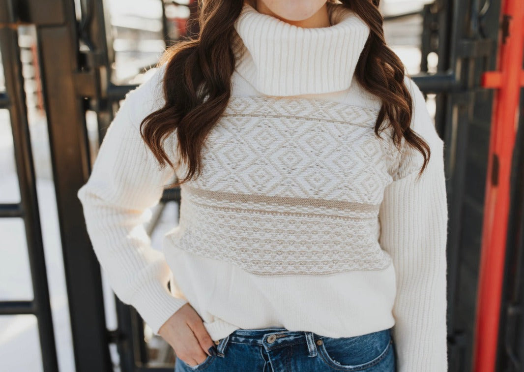 Caydee Turtle Neck Sweater